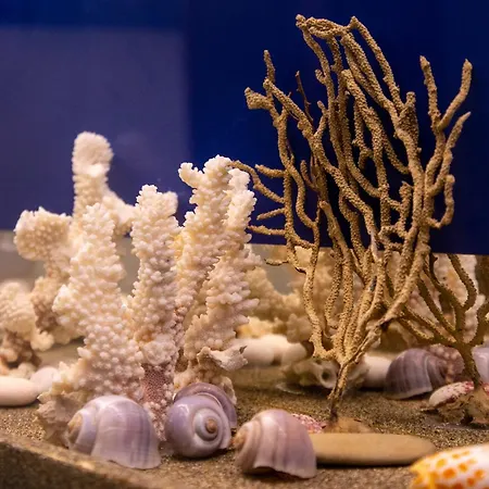 Antolina - Notti Stellate By Host Hero San Benedetto del Tronto